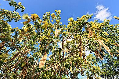 《自杀小队》抢先体验不到一小时 官方紧急将服务器下线